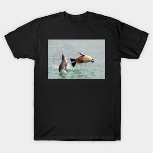 Playful Sea Lions, Baird Bay SA T-Shirt